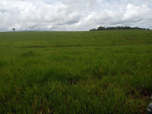 Imagen 2 de 7 de Lotes En Venta Entre Cumaral Y Restrepo Meta