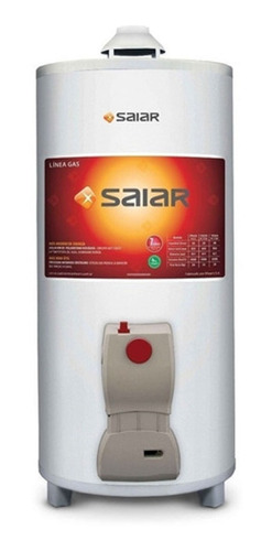 Termotanque Gas Rheem Saiar 80l Cs Pie - Aj Hogar