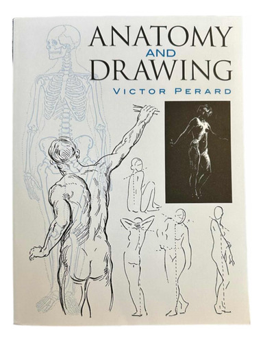 Anatomy And Drawing