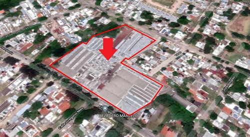 Imagen 1 de 23 de Próximo A Garzón Y San Quintín