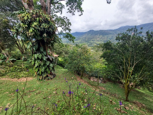 Imagen 16 de 29 de Bajó De Precio - Venta De Finca En La Parcelación Estación Popalito - Barbosa Antioquia