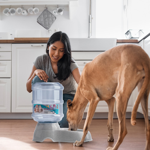 Bebedero automático Fancy Pets 11.4l perro tipo garrafón color gris claro
