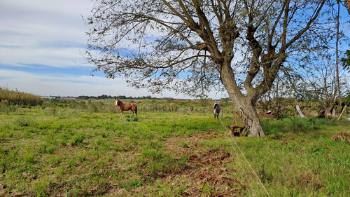 Vendo Campo 200 Mts De Frente Ruta 1