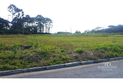 Terreno À Venda, 360 M² 10% De Entrada Rio Pequeno - São José Dos Pinhais/pr - Te0064