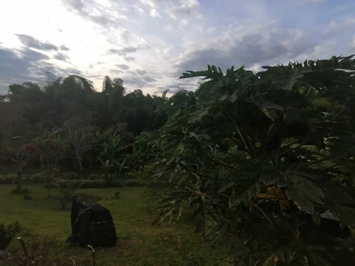 Imagen 11 de 14 de Chalet Venta Via Al Caimo En Conjunto Cerrado