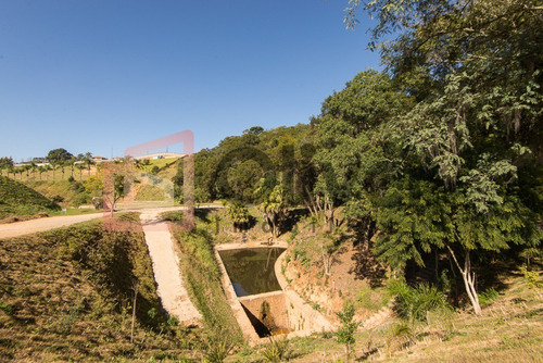 Imagem 15 de 30 de Terreno Em Condomínio - Te00060 - 67869749