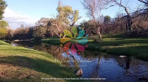 Imagen 9 de 11 de Ideal Inversor - Vendo Lote De Terreno - Los Quimbaletes - Villa Giardino - Córdoba