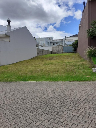 Imagem 1 de 30 de Terreno - Te00024 - 69351236