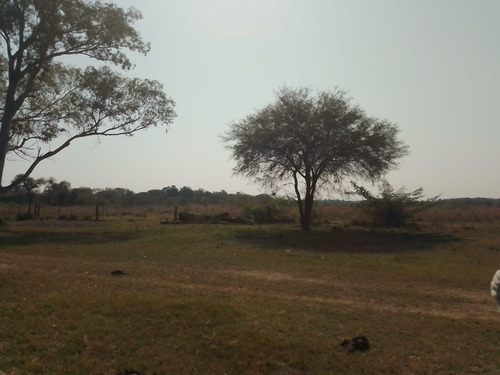 Campo En Venta - Chaco, Dpto Bermejo, Estancia Mongay, 5.700 Ha.
