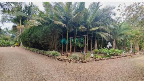 Imagem 13 de 30 de Lindo Sítio À Venda No Bairro São Luiz Em Apiúna Sc!! - Ru00003 - 69368760