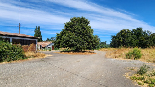 Bodega Camino Canta Rana