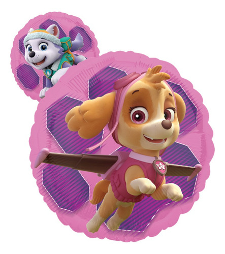Globos Paw Patrol Skye Y Everest