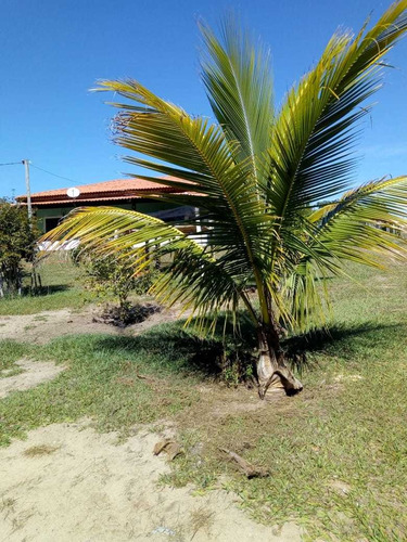 Imagem 9 de 14 de Venda De Chácara Em Bofete Sp