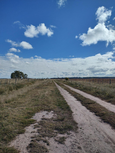 Hectareas En Venta En Oliden