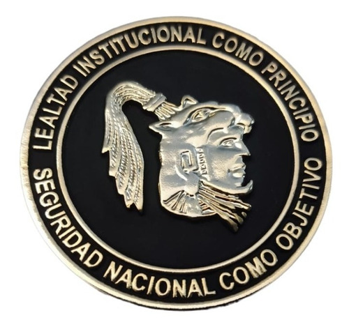 Elegante Medalla De Colección Colegio De Defensa Nacional Mx