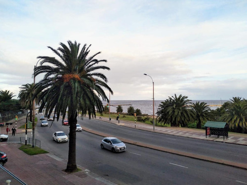 Imagen 2 de 30 de Rambla Armenia Y Benigno S. Paiva