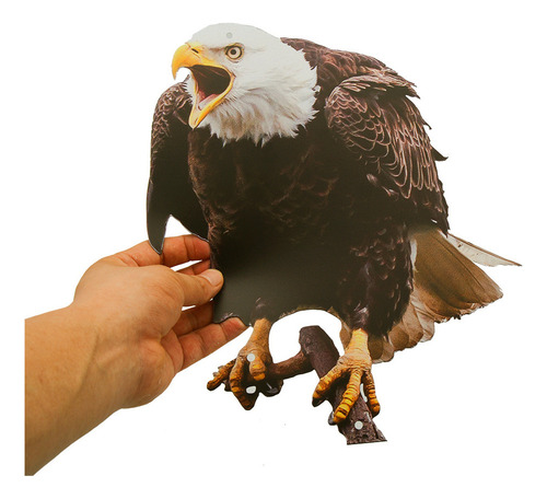 Colgante Con Forma De Águila Y Espantapájaros, 5 Unidades