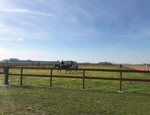 Imagen 12 de 17 de Terreno En Venta En La Plata