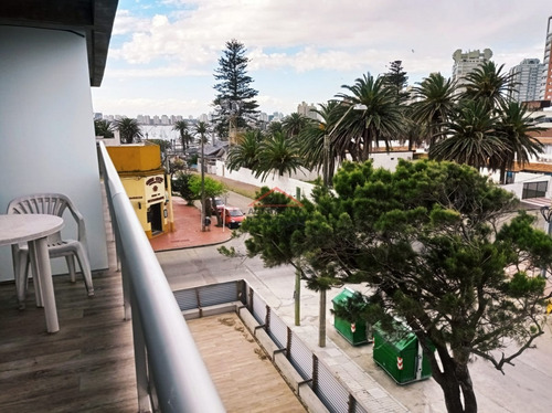 Apartamento 1 Dormitorio En Península * Alquiler Temporario- Ref: 5344