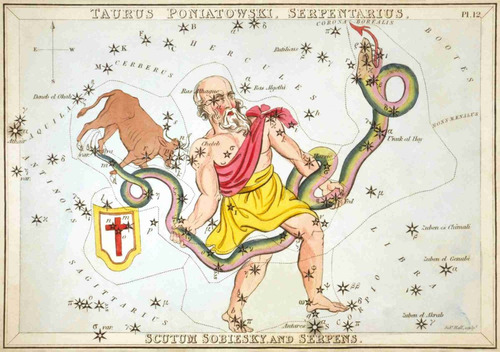 Lienzo Canvas Arte Zodiaco Constelación Serpiente 1825 50x72