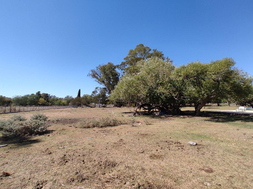 Quinta En Venta- 12 Has Con Pileta- Verónica
