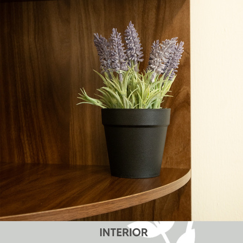 Kit 3 Planta Lavanda En Maceta Plástico Interior Hogar 20cm