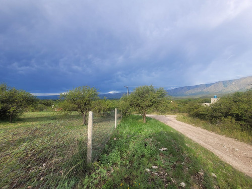 Terreno En Venta En Las Rabonas