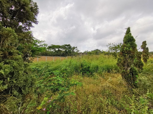 Imagen 10 de 21 de En Venta Terreno Cerca De La Ciudad, En Fraccionamiento Priv