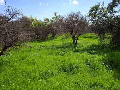 Sitio Super En Venta En Limache