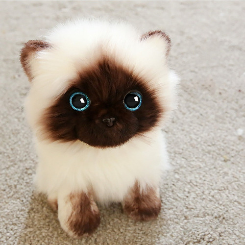 Li Um Gato Siamês De Pelúcia Ss Brinquedos De Pelúcia