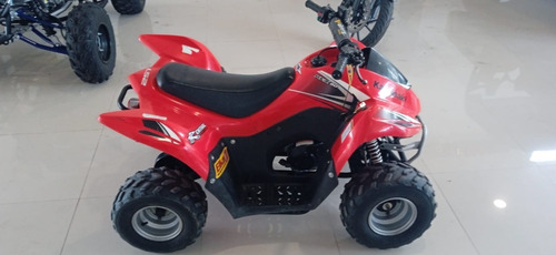 Imagen 6 de 6 de Kawasaki Kfx 50