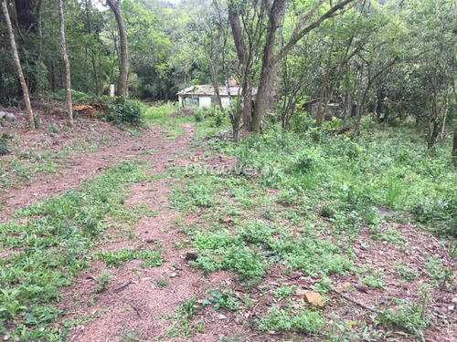 Imagem 4 de 13 de Sitio - Belem Velho - Ref: 21729 - V-21729
