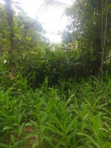 Imagem 3 de 5 de Terreno De Chácara No Bairro Indaiá, Em Itanhaém=referência: 6530