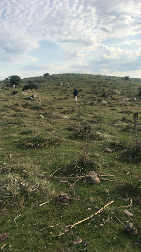 Campo Con Cerro En Ruta 60