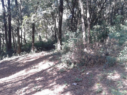 Imagem 4 de 5 de Terreno Industrial À Venda, Chavini E Castro, Itatiba - Ar0196. - Te2807