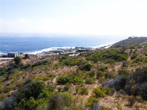 Terreno En Venta En Zapallar