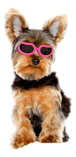 Gafas De Sol Para Perros, Gafas Antivaho A Prueba De Viento