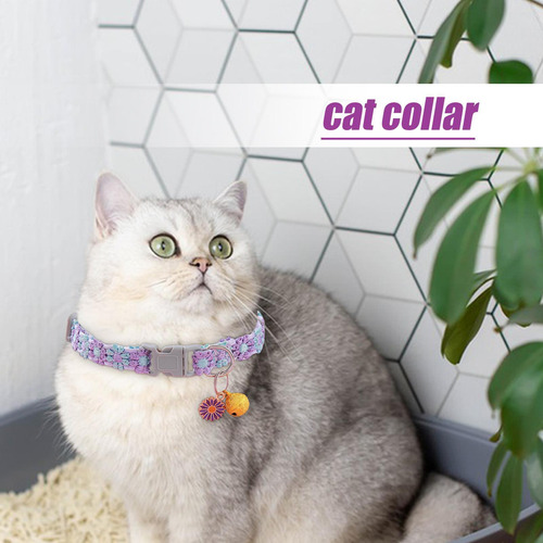 Collares De Gato De Escape Collar De Gato Breakaway Collar D