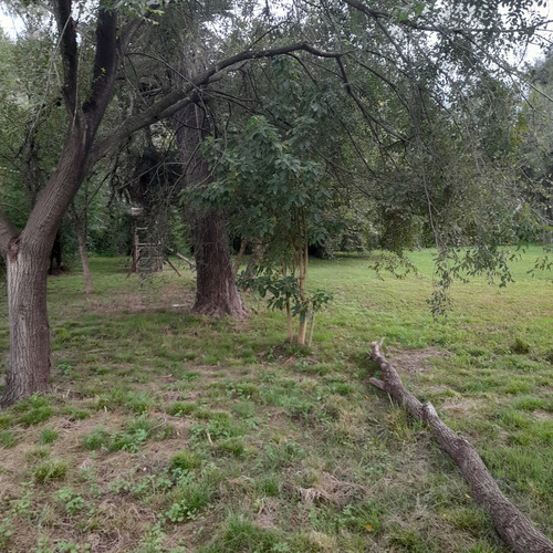Lote Barrio Tierras Del Morenito 3059 M2