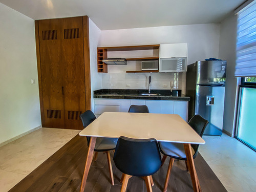 Departamento De 1 Recámara En Hauz Apartments, Montecristo