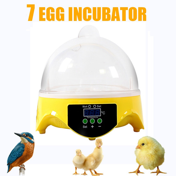 Accesorio para incubación plata para incubación Poult Poult accesorio de incubadora resistente al desgaste 400 W 