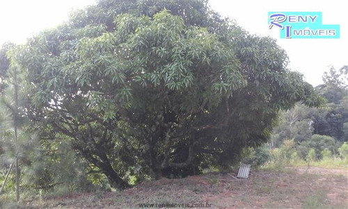 Imagem 24 de 27 de Sítios À Venda Em Itu/sp - Compre O Seu Sítios Aqui! - 1314413