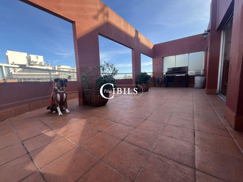 Apartamento Penthouse En Venta 3 Dormitorios