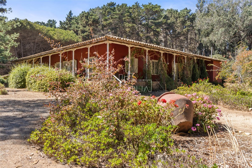 Casa En Venta De 6 Dorm. En Algarrobo