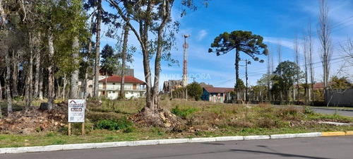 Imagem 2 de 8 de Terreno - Centro - Ref: 347519 - L-347519