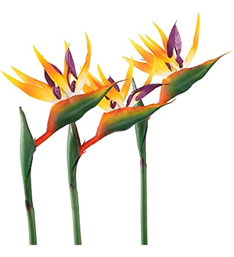 Flores Artificiales De Ave Del Paraíso Goma Strelitzia 32'in