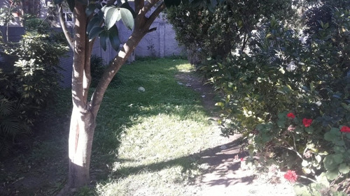 Imagen 6 de 8 de Casa De 2 Dorm Sobre Terreno De 8.66 X 50 Metros