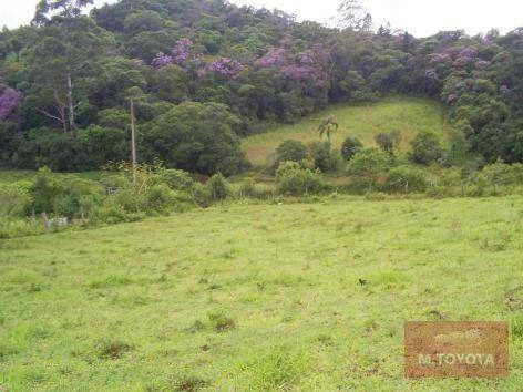 Imagem 14 de 20 de Sítio À Venda, 163000 M² Por R$ 650.000,00 - Vargem Do Salto - Ibiúna/sp - Si0001