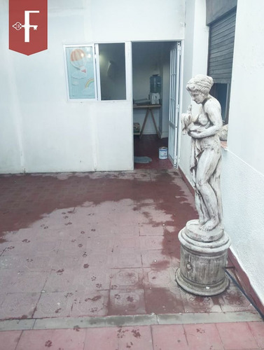 Imagen 7 de 7 de Casa En Venta En Centro