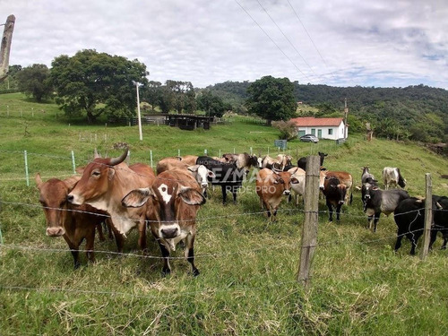 Imagem 1 de 30 de Sítio À Venda Com 194.000,00 M² Com 01 Lago E Duas Nascentes. - Si0026